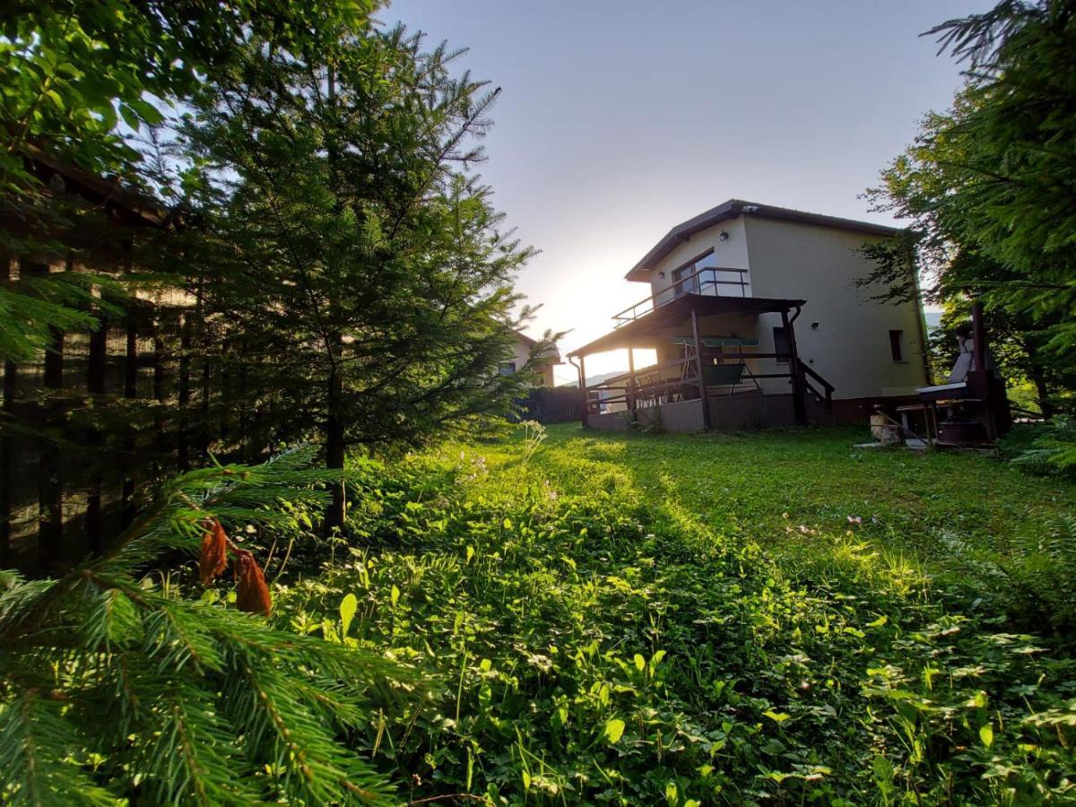 C House Villa Busteni Exterior photo