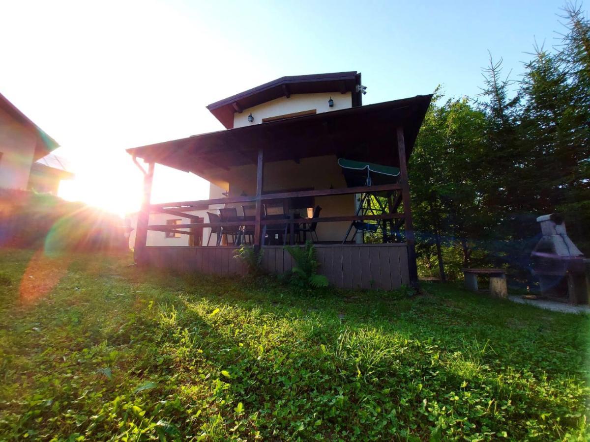 C House Villa Busteni Exterior photo